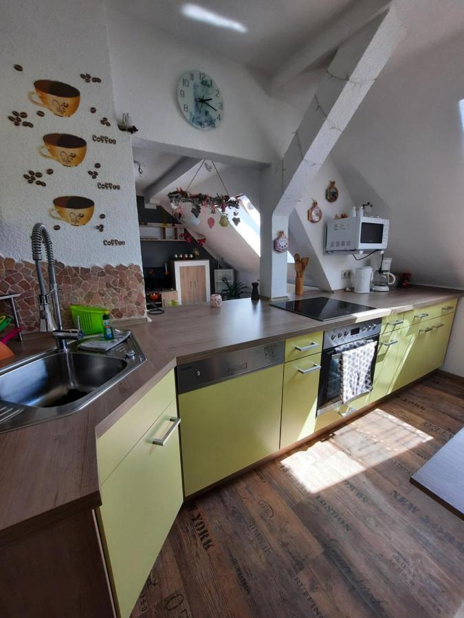 Ferienwohnung Mit Elbwiesenblick Wittenberg Esterno foto